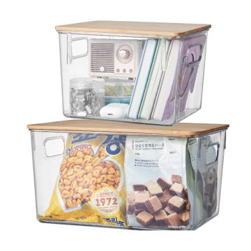 Clear Plastic Storage Box Bins with Lids